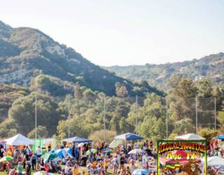 Reggae on the Mountain: A Festival Rooted in Community and Culture