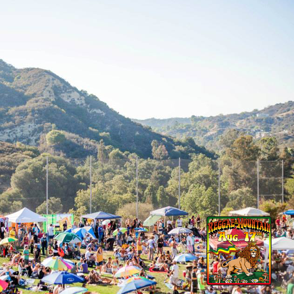 Reggae on the Mountain: A Festival Rooted in Community and Culture